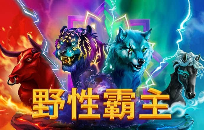 爱游戏手机官方网站入口网址